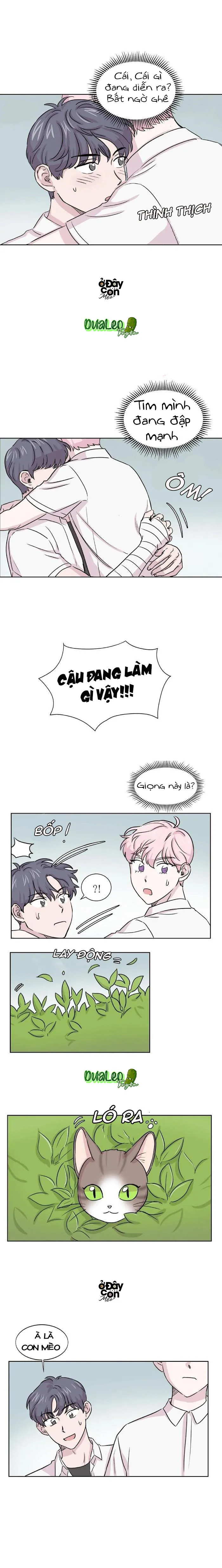 Bạn Có Biết Về Thiên Thần Hộ Mệnh Không Chapter 10 Trang 4