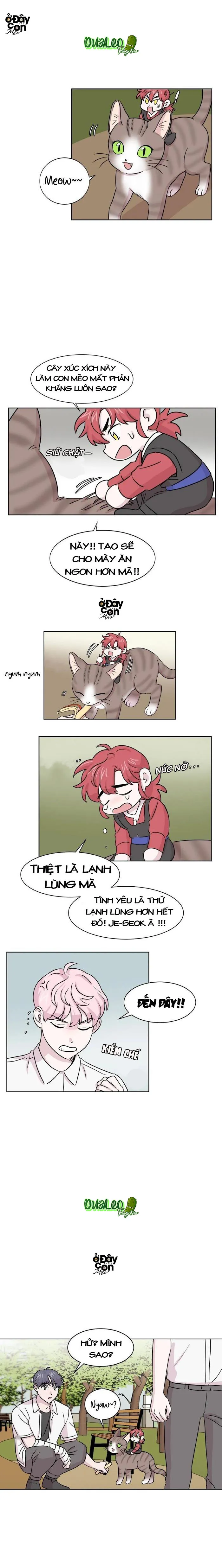 Bạn Có Biết Về Thiên Thần Hộ Mệnh Không Chapter 10 Trang 6