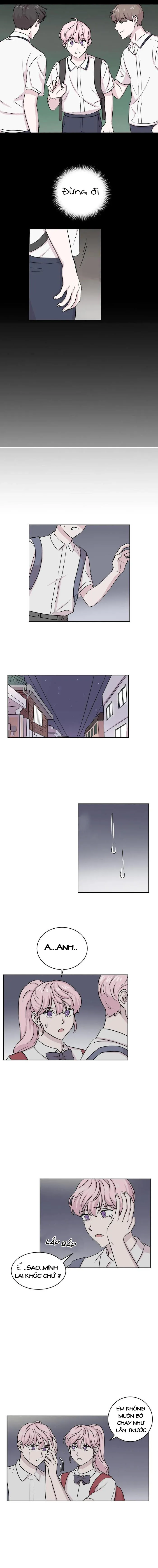 Bạn Có Biết Về Thiên Thần Hộ Mệnh Không Chapter 19 Trang 3