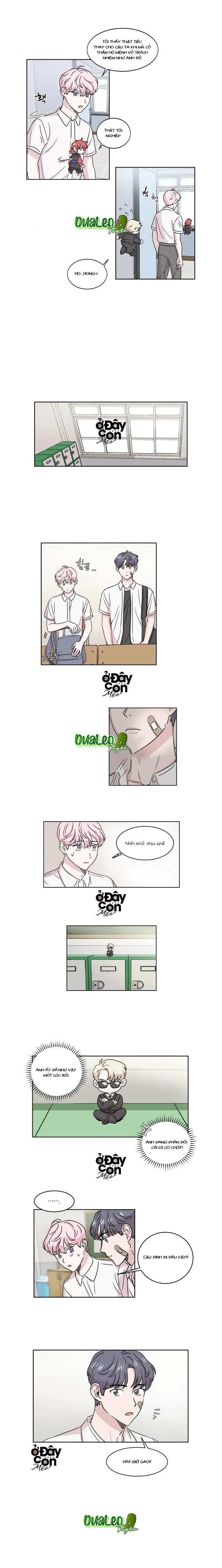 Bạn Có Biết Về Thiên Thần Hộ Mệnh Không Chapter 5 Trang 4