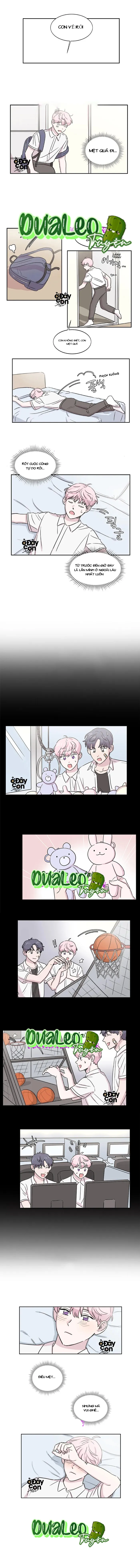 Bạn Có Biết Về Thiên Thần Hộ Mệnh Không Chapter 6 Trang 5