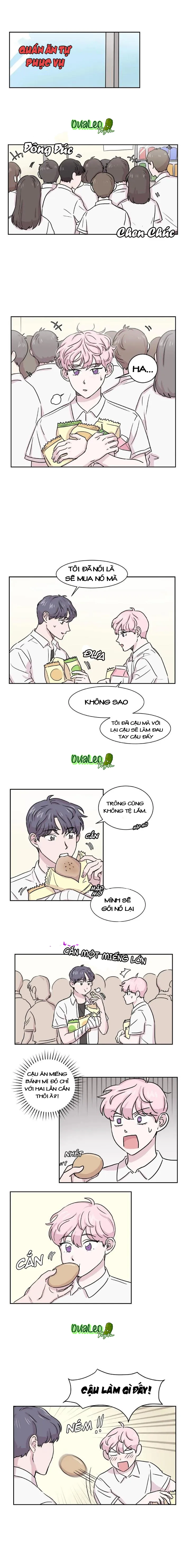 Bạn Có Biết Về Thiên Thần Hộ Mệnh Không Chapter 8 Trang 3