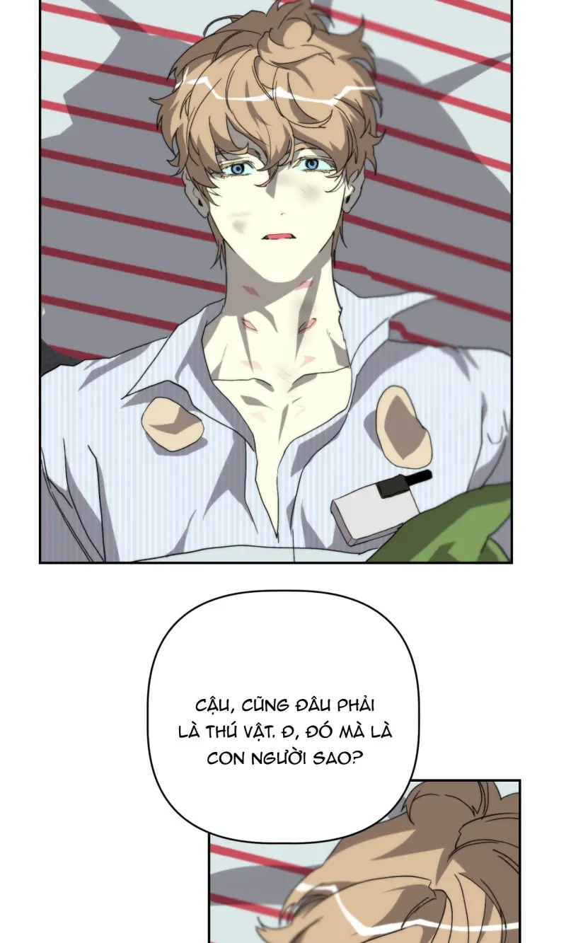 BẠN CÙNG LỚP MẪU GIÁO MẶT TRỜI Chapter 46 Trang 52