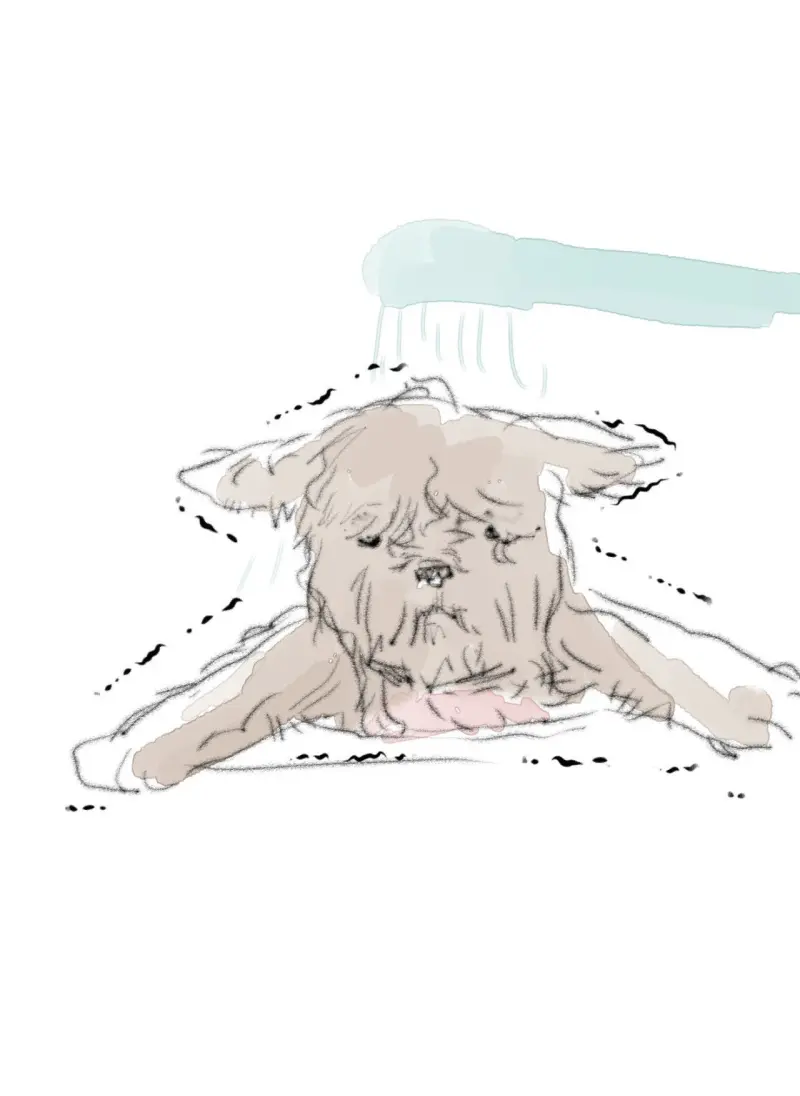 BẠN CÙNG LỚP MẪU GIÁO MẶT TRỜI Chapter 46 Trang 95