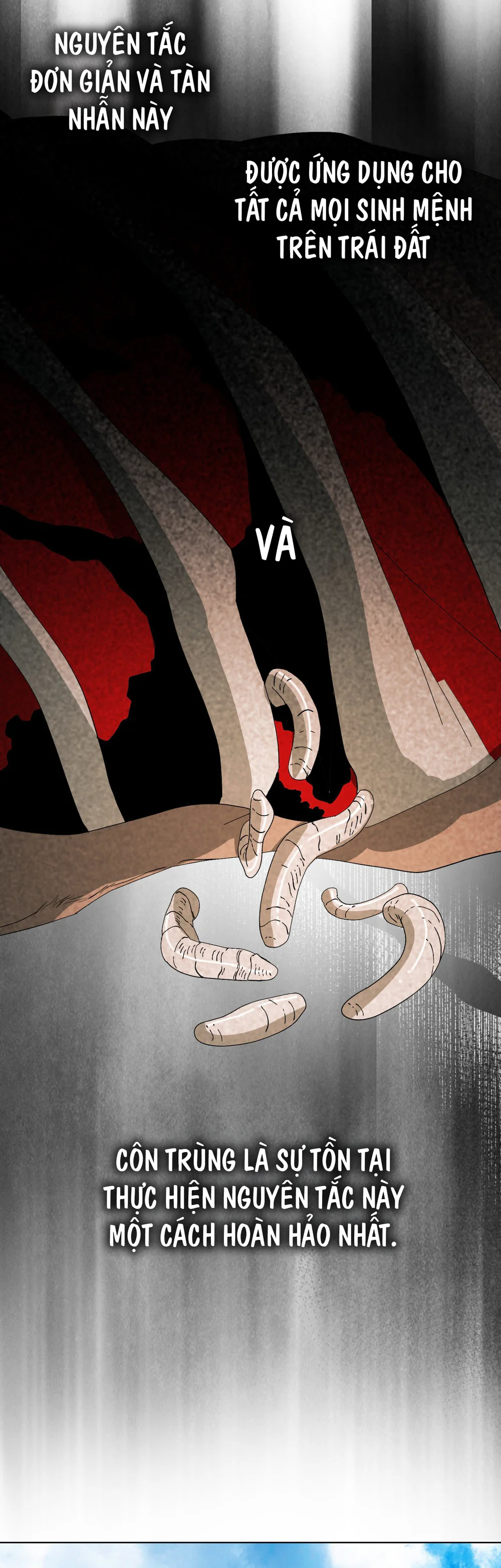 BẠN CÙNG LỚP MẪU GIÁO MẶT TRỜI Chapter 51 Trang 3