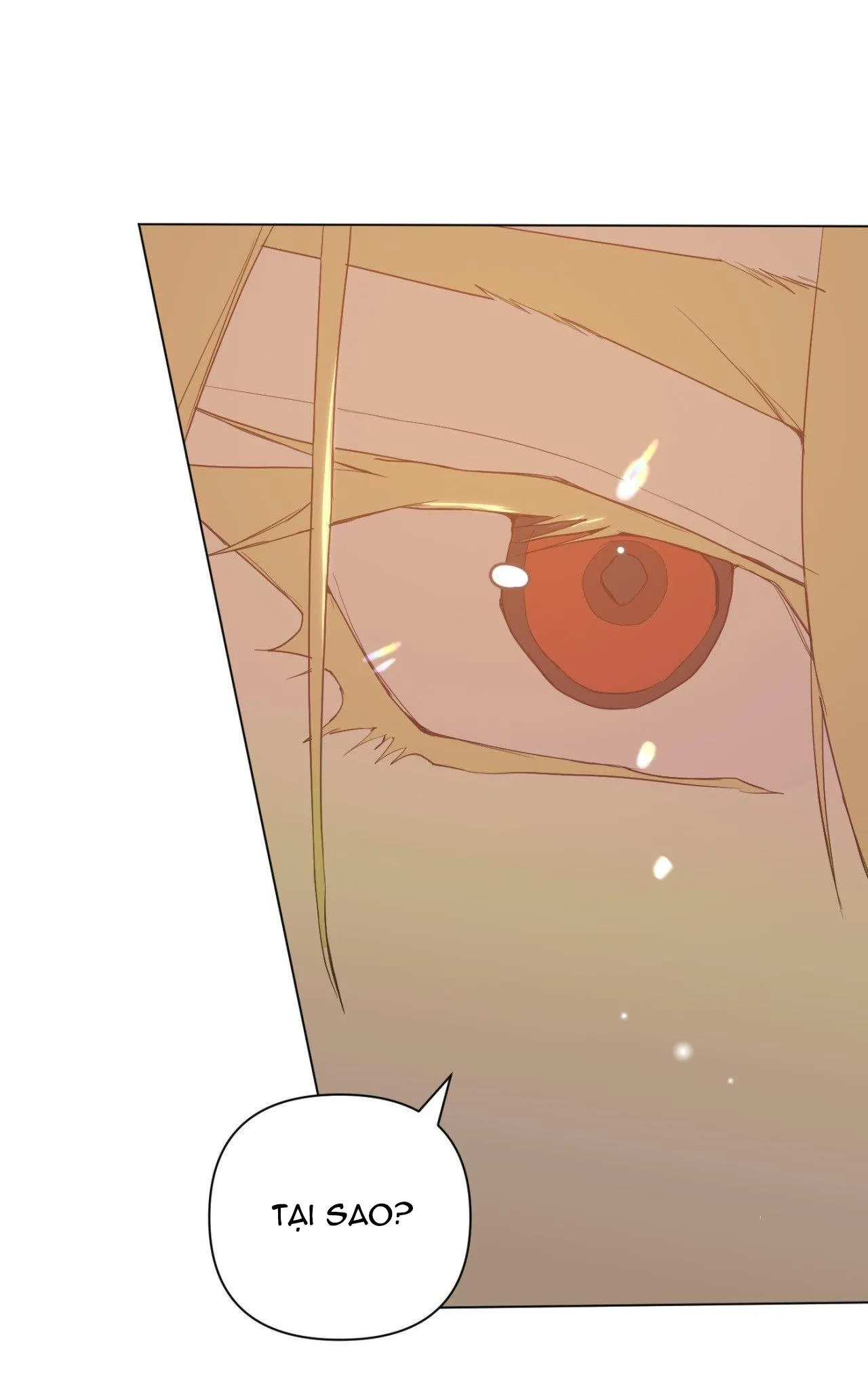 BẠN CÙNG LỚP MẪU GIÁO MẶT TRỜI Chapter 9 Trang 5