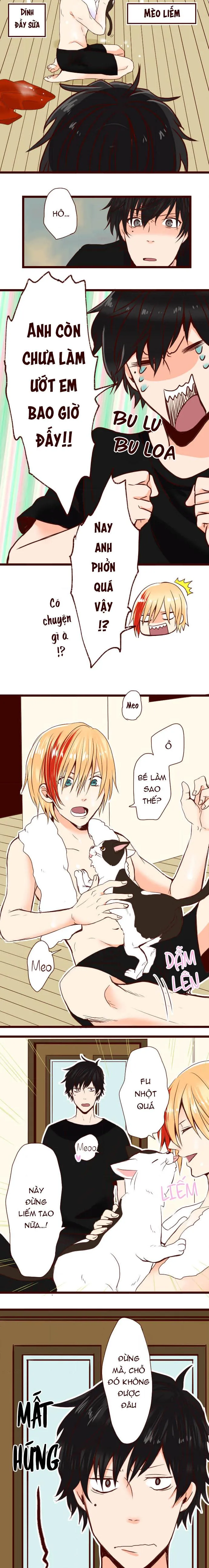 Bạn Cùng Phòng Lỡ Uống Thuốc Kích Dục Tôi Chế Và Cái Kết Chapter 16 Trang 4