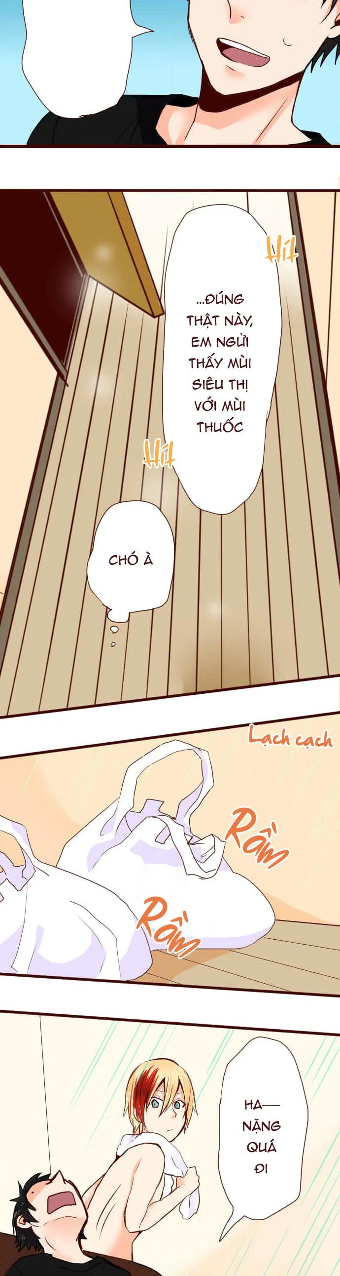 Bạn Cùng Phòng Lỡ Uống Thuốc Kích Dục Tôi Chế Và Cái Kết Chapter 6 Trang 5