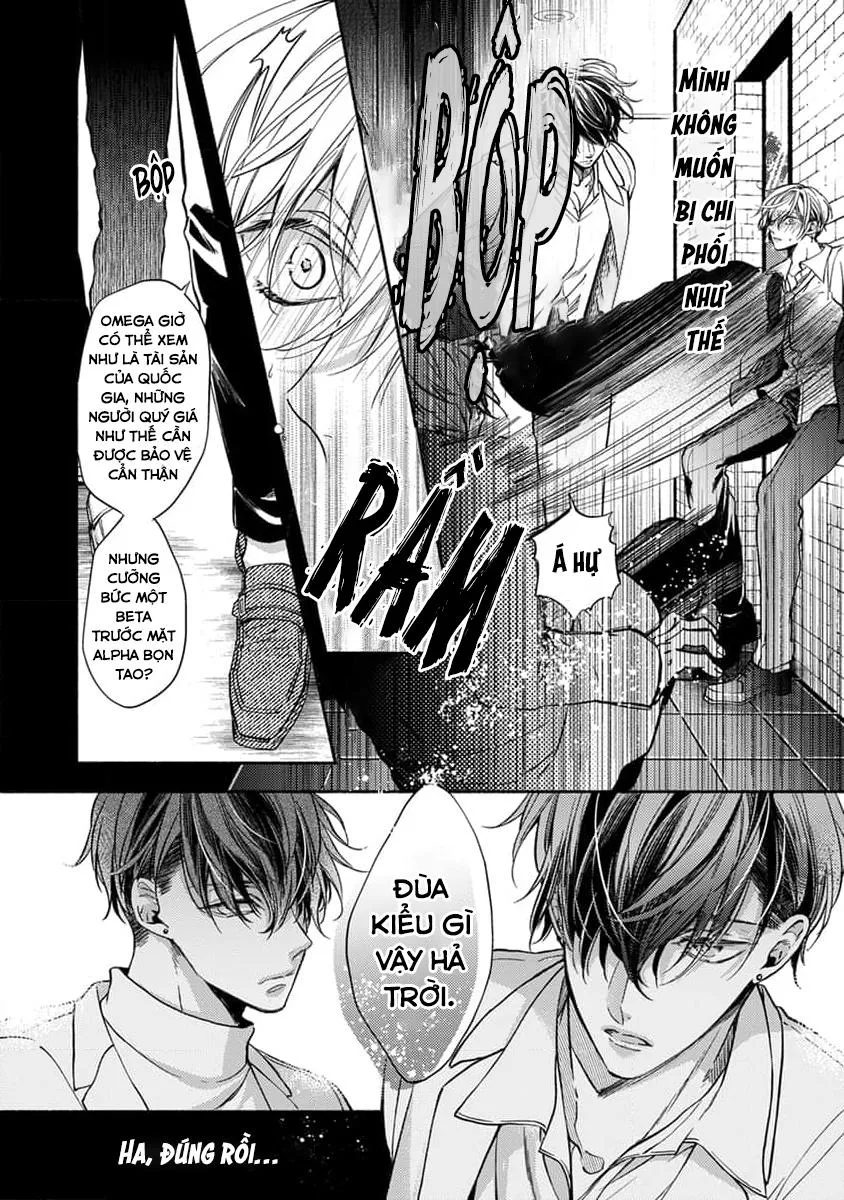 Bạn Đời Của Chúng Tôi Là Một Omega Bướng Bỉnh Chapter 1 Trang 10