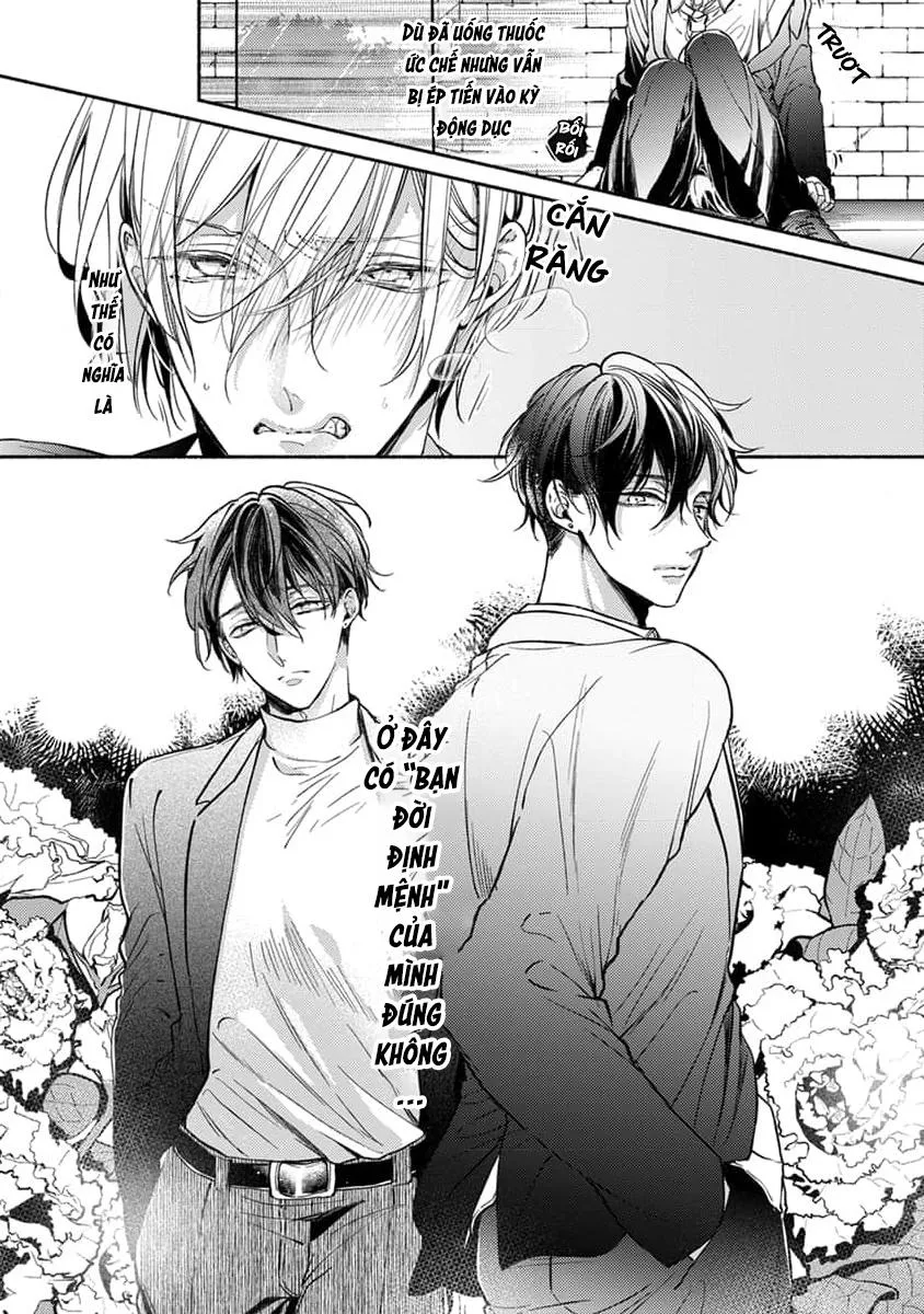 Bạn Đời Của Chúng Tôi Là Một Omega Bướng Bỉnh Chapter 1 Trang 11