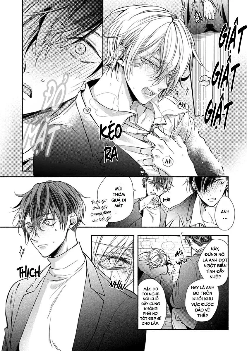 Bạn Đời Của Chúng Tôi Là Một Omega Bướng Bỉnh Chapter 1 Trang 14