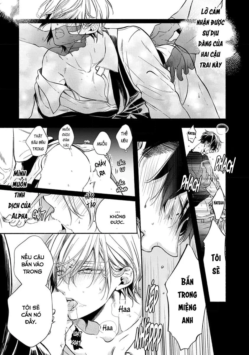 Bạn Đời Của Chúng Tôi Là Một Omega Bướng Bỉnh Chapter 1 Trang 52