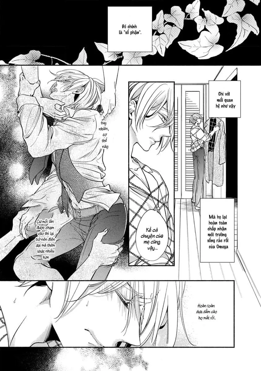 Bạn Đời Của Chúng Tôi Là Một Omega Bướng Bỉnh Chapter 4 Trang 5
