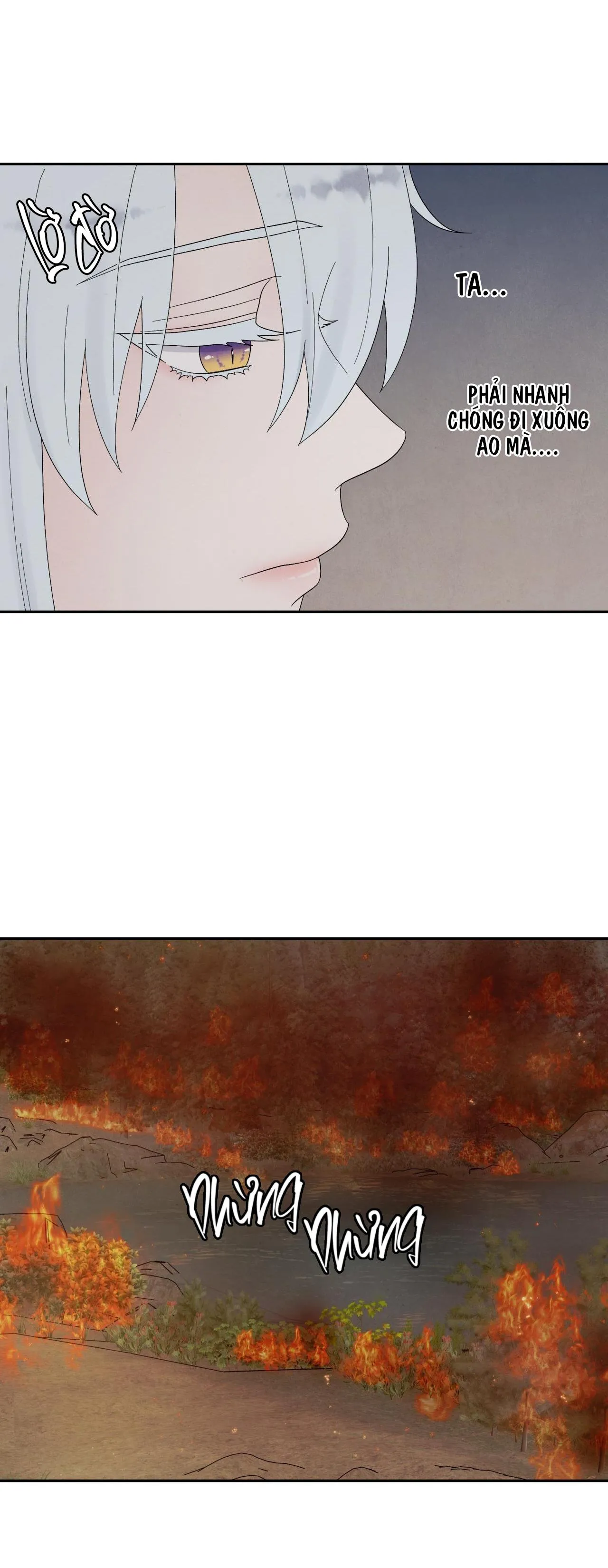 (DROP) BẠN ĐỜI CỦA RỒNG Chapter 1 Trang 52