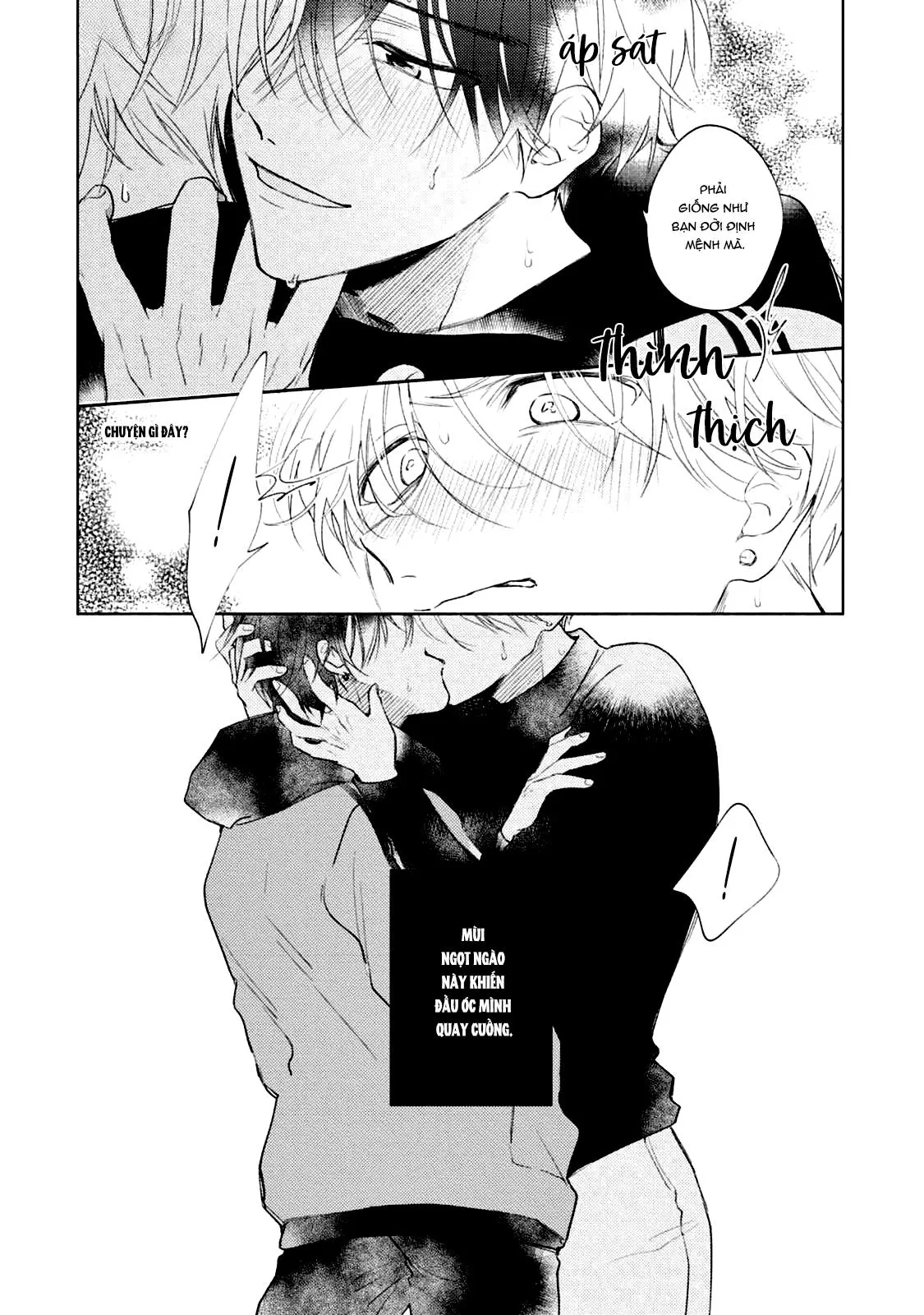 Bạn Đời Của Tôi Là Một Omega Thuần Chapter 1 Trang 24