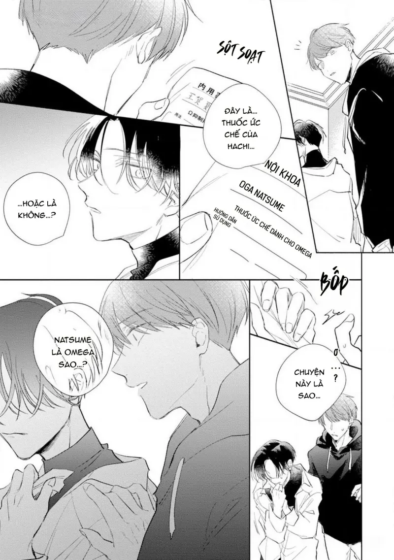 Bạn Đời Của Tôi Là Một Omega Thuần Chapter 3 Trang 31