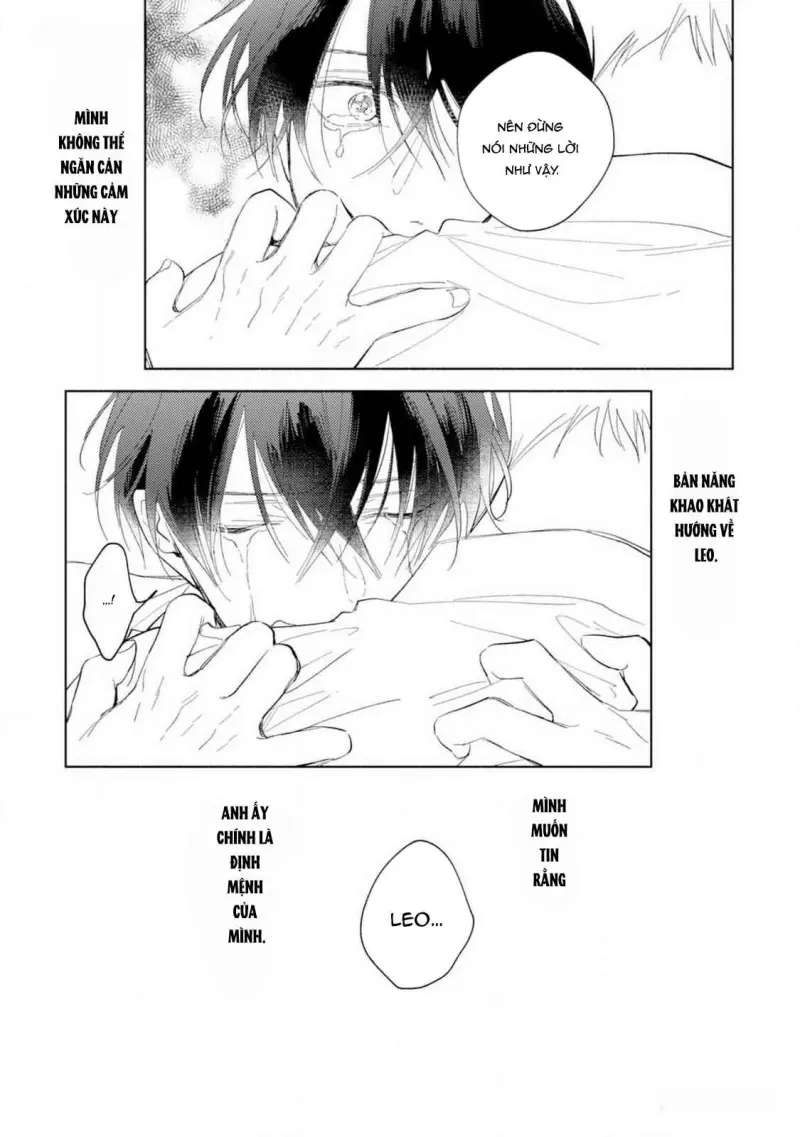 Bạn Đời Của Tôi Là Một Omega Thuần Chapter 4 Trang 16