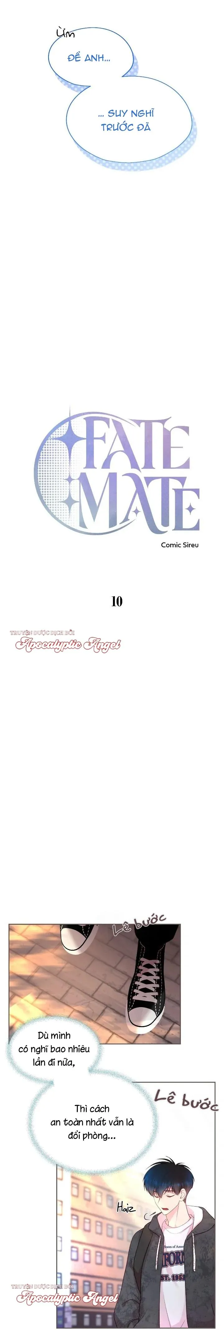 Bạn Đời Định Mệnh Chapter 10 Trang 10