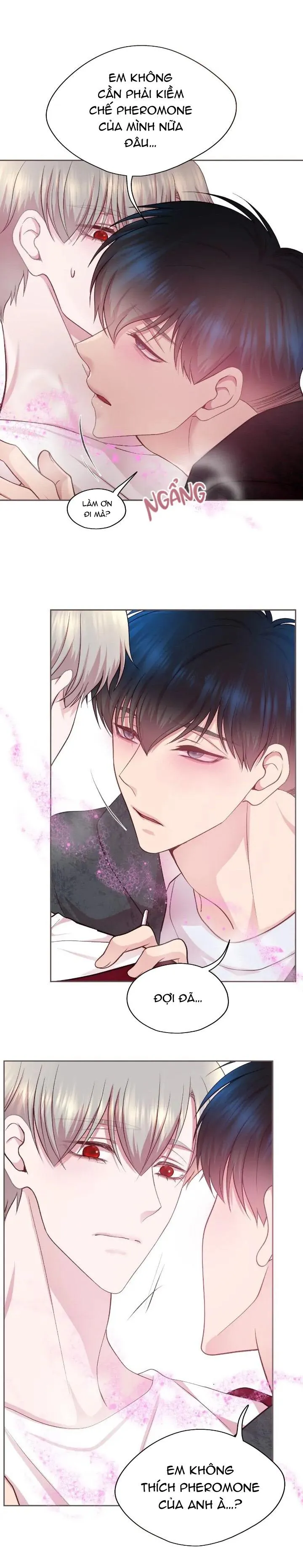 Bạn Đời Định Mệnh Chapter 11 Trang 5