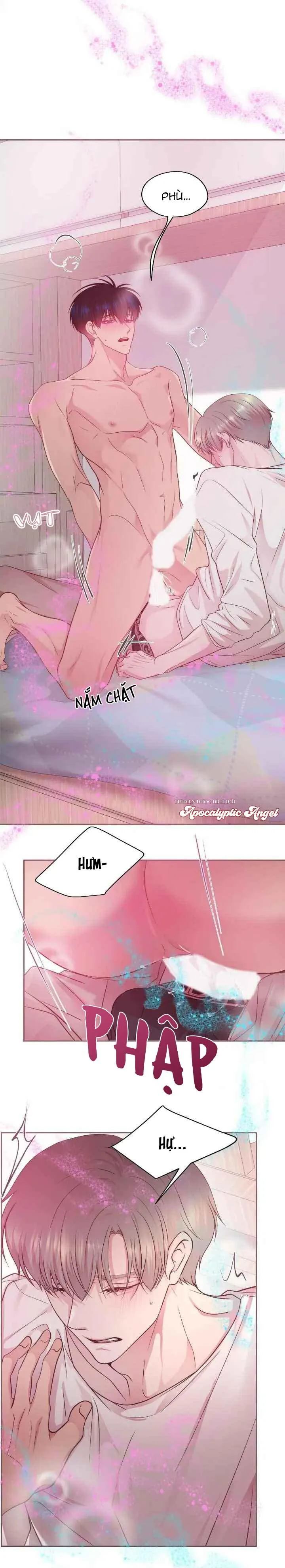 Bạn Đời Định Mệnh Chapter 12 Trang 4