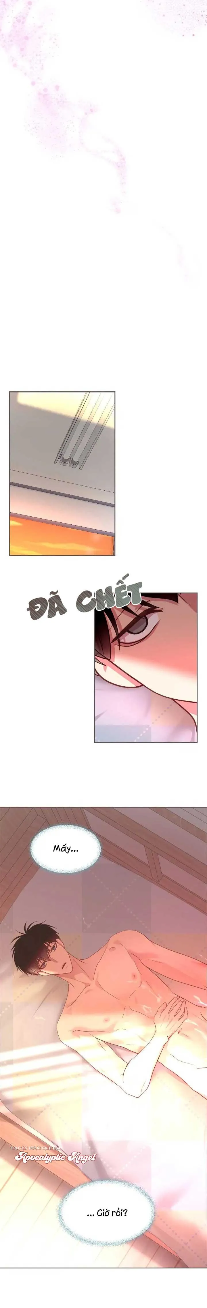 Bạn Đời Định Mệnh Chapter 13 Trang 7