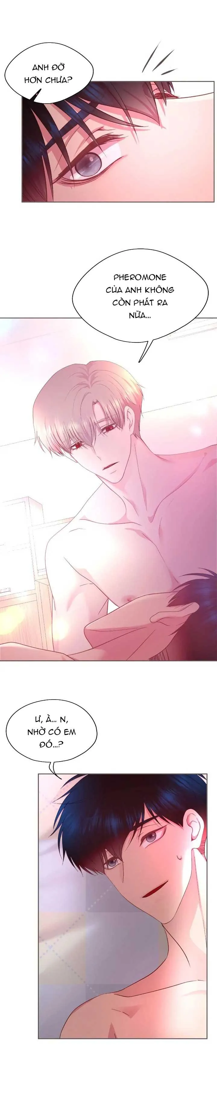 Bạn Đời Định Mệnh Chapter 13 Trang 8