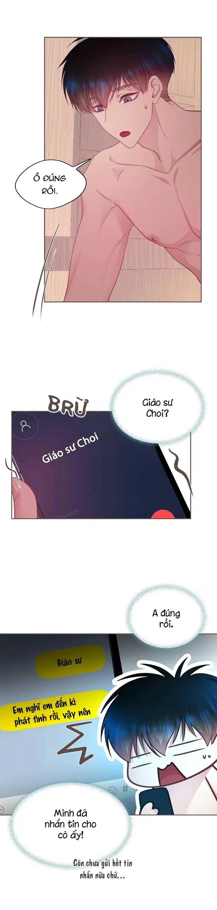 Bạn Đời Định Mệnh Chapter 13 Trang 12