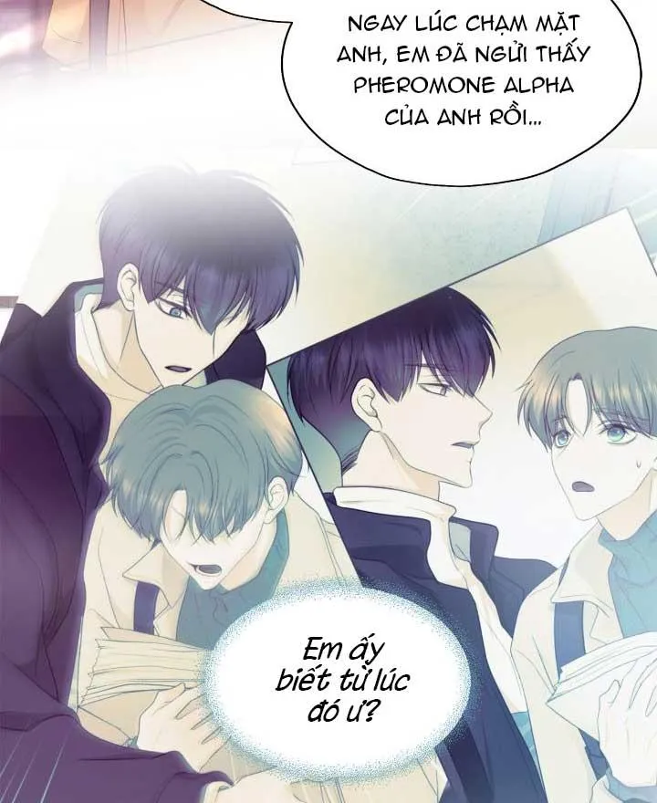 Bạn Đời Định Mệnh Chapter 22 Trang 5