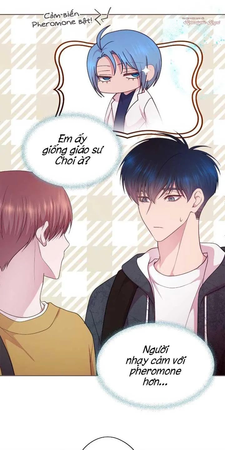 Bạn Đời Định Mệnh Chapter 22 Trang 9