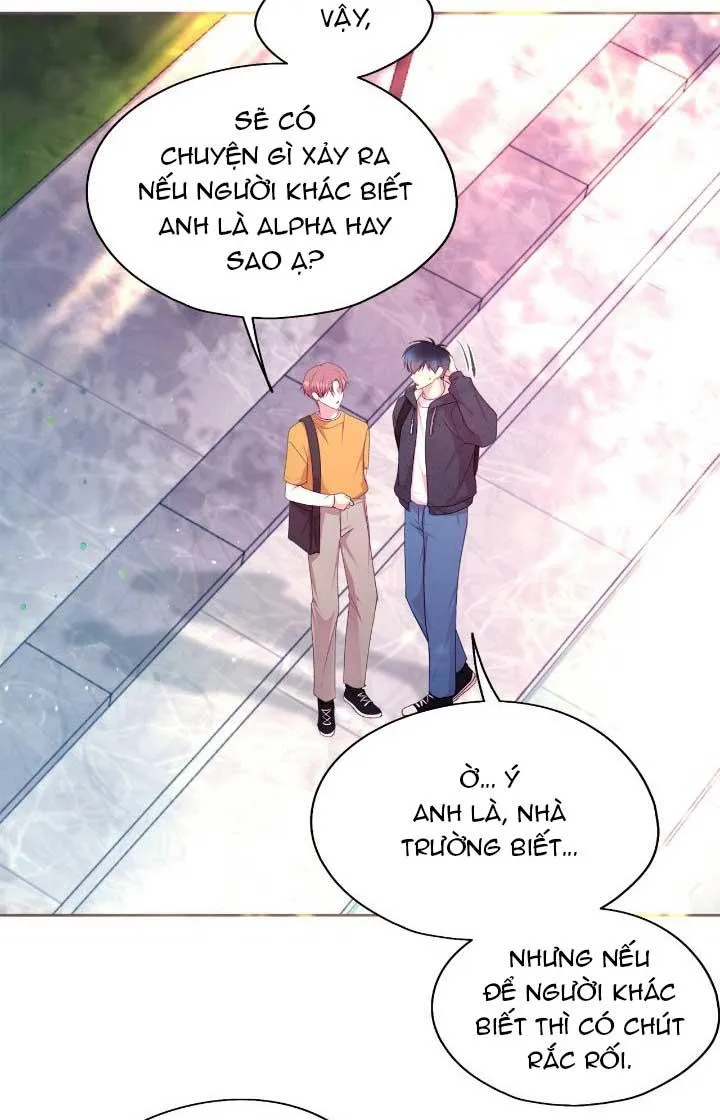 Bạn Đời Định Mệnh Chapter 22 Trang 10