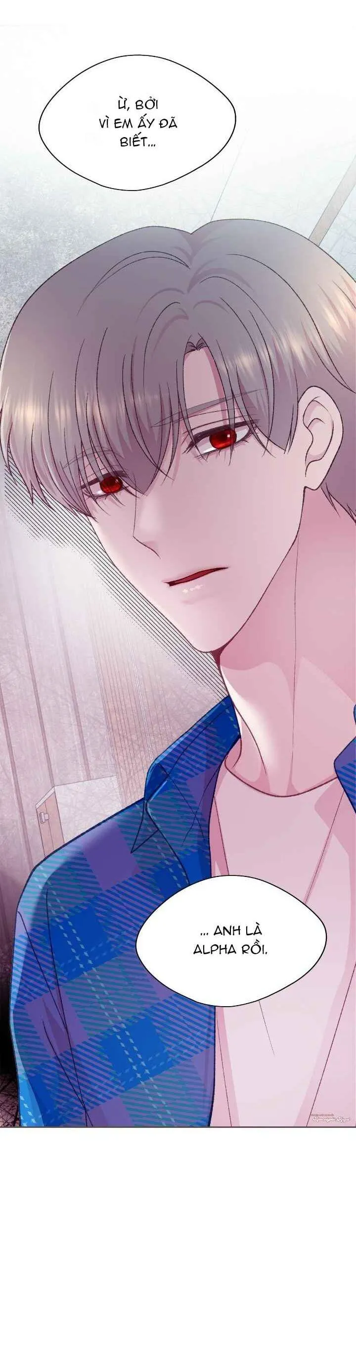 Bạn Đời Định Mệnh Chapter 23 Trang 109
