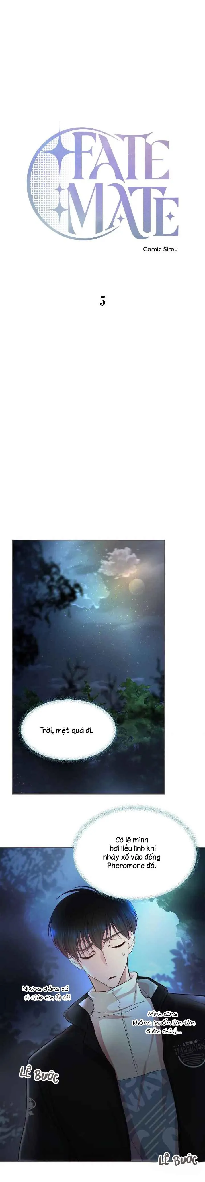 Bạn Đời Định Mệnh Chapter 5 Trang 16