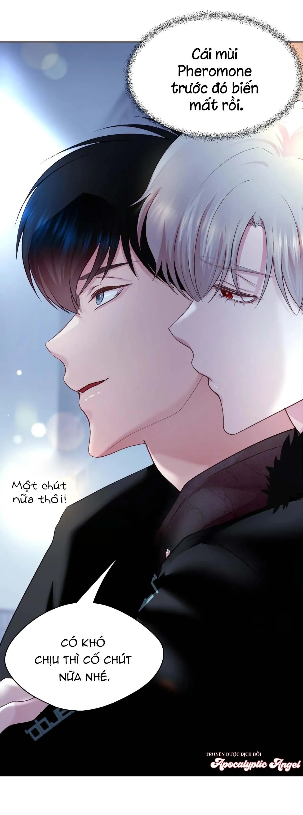 Bạn Đời Định Mệnh Chapter 8 Trang 12