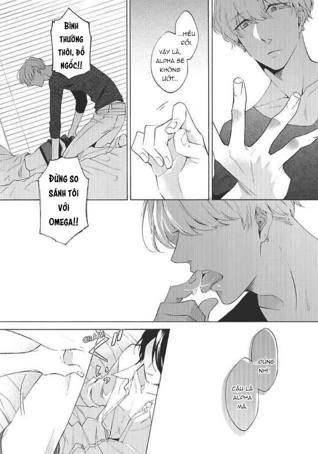 Bạn Đời Giả Dối Chapter 1 Trang 23