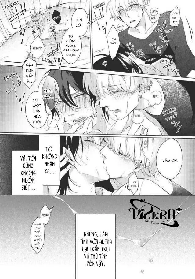 Bạn Đời Giả Dối Chapter 1 Trang 33