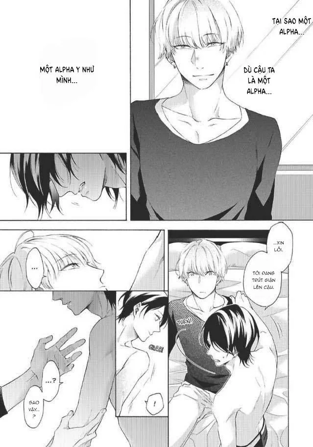 Bạn Đời Giả Dối Chapter 3 Trang 17