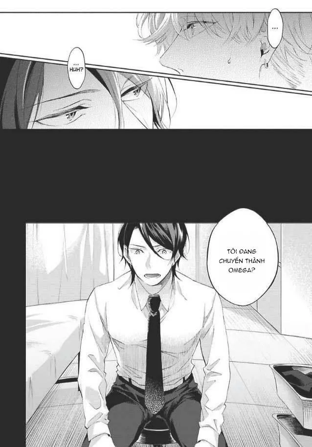 Bạn Đời Giả Dối Chapter 5 Trang 8