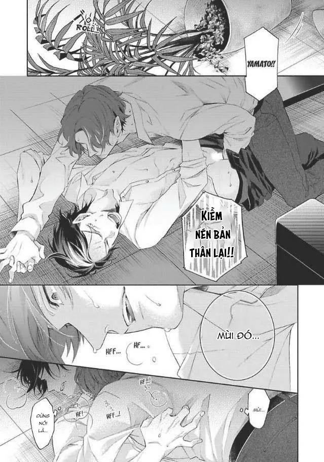 Bạn Đời Giả Dối Chapter 5 Trang 27