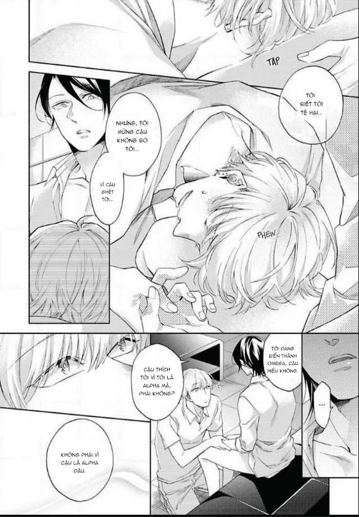 Bạn Đời Giả Dối Chapter 6 Trang 4