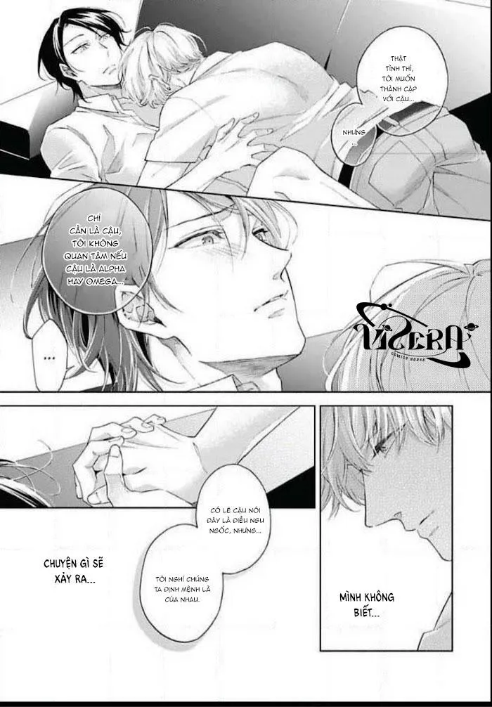 Bạn Đời Giả Dối Chapter 6 Trang 29