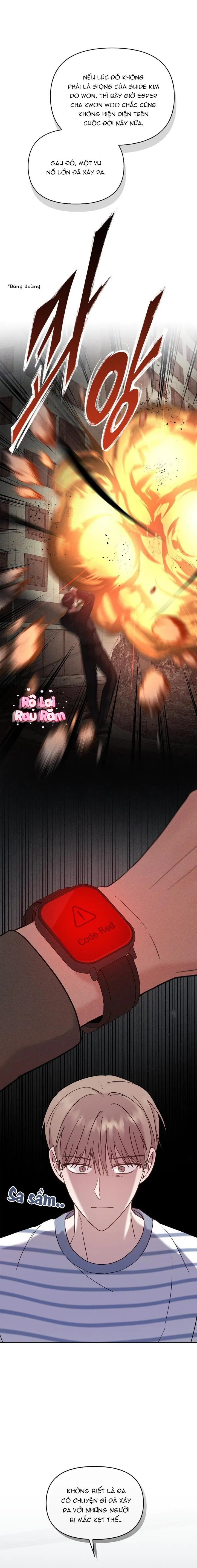 BẢN SAO ÂM HƯỞNG Chapter 15 Trang 10