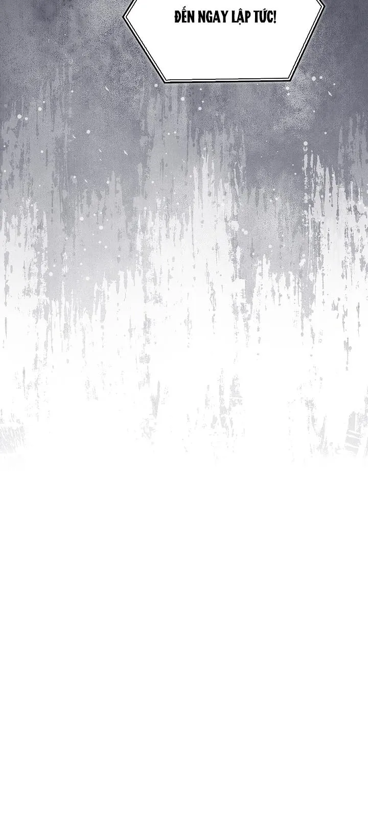 BẢN SAO ÂM HƯỞNG Chapter 47 Trang 13