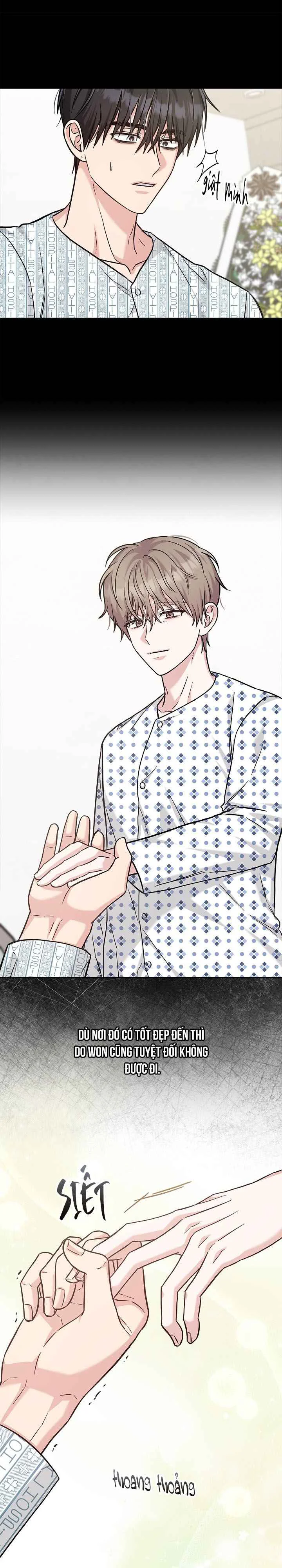 BẢN SAO ÂM HƯỞNG Chapter 81 Trang 10