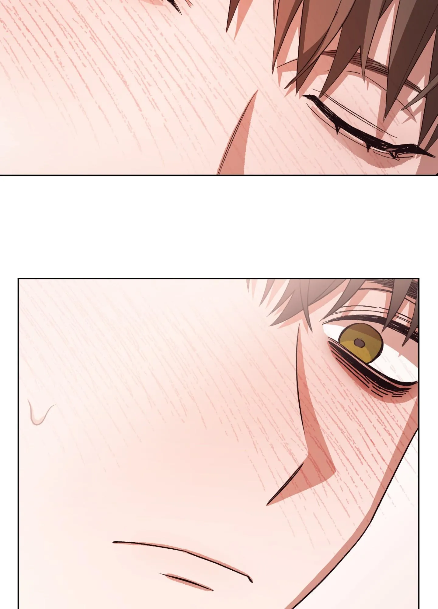 [Hoàn] Bạn Thời Thơ Ấu Trong Góc Phòng Chapter 5 Trang 17