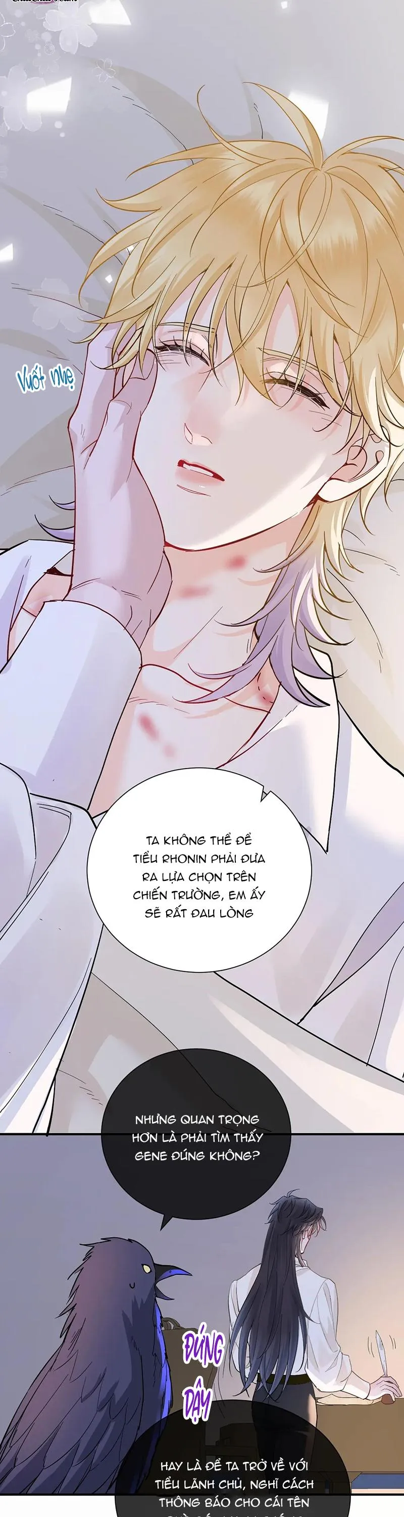 Bản Tình Ca Nụ Hôn Ngục Tù Chapter 36 Trang 6