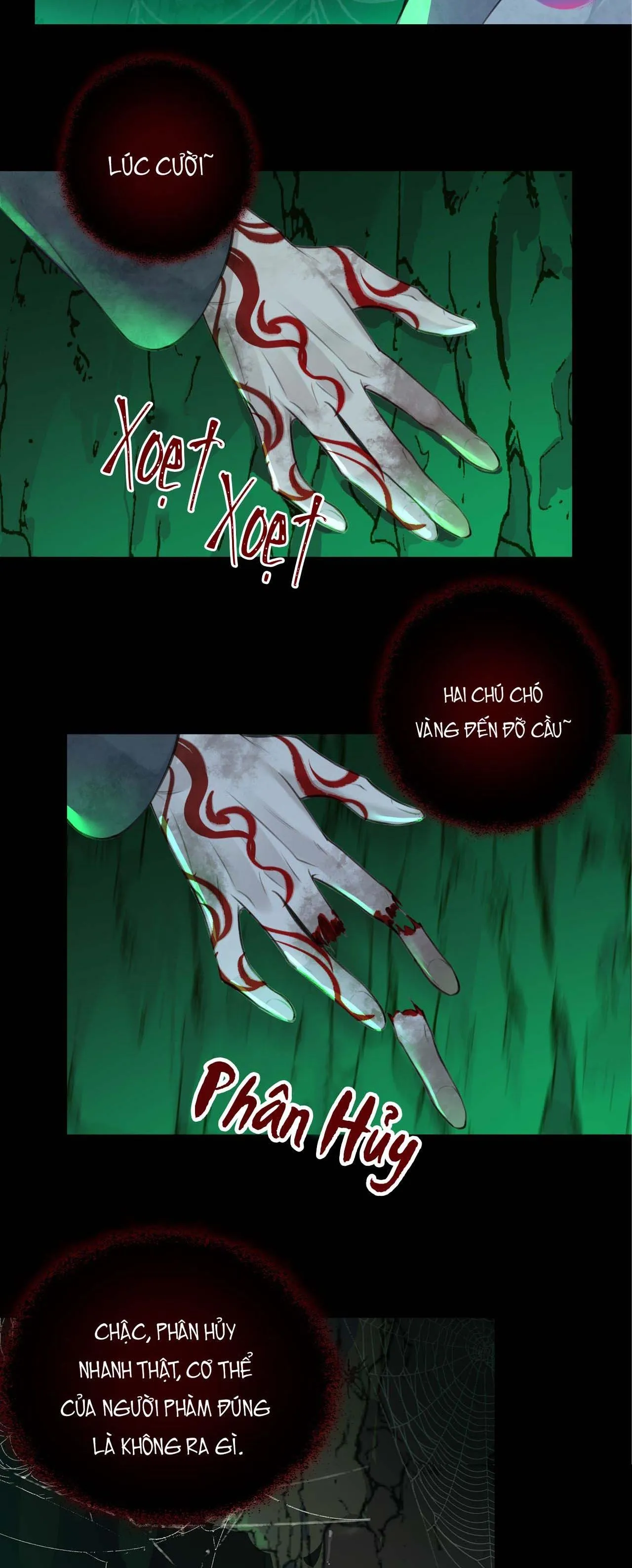 Bản Toạ Nuôi Quỷ Hút Máu Ở Tông Môn (END) Chapter 17 Trang 38