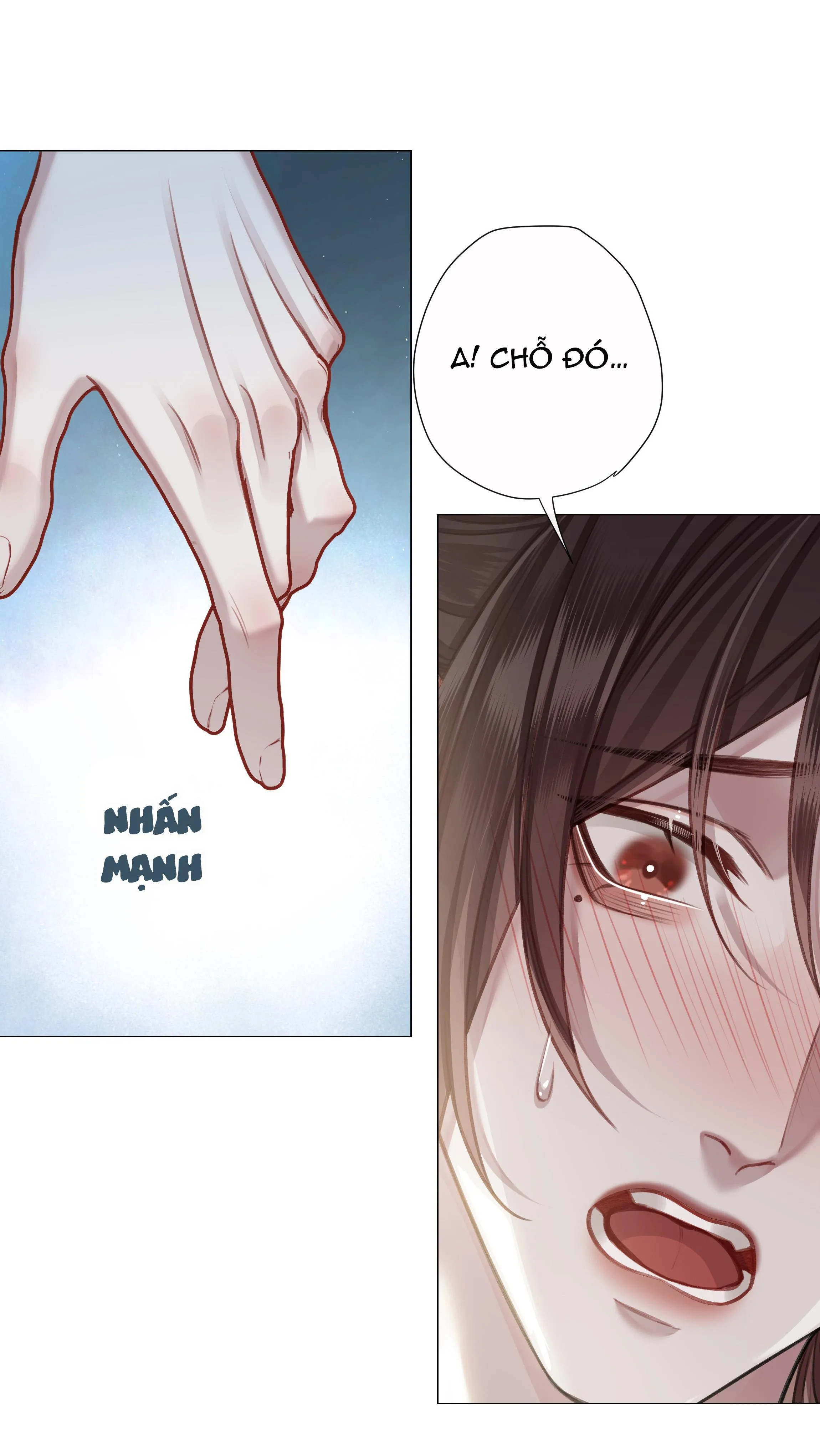 Bản Toạ Nuôi Quỷ Hút Máu Ở Tông Môn (END) Chapter 50 Trang 14