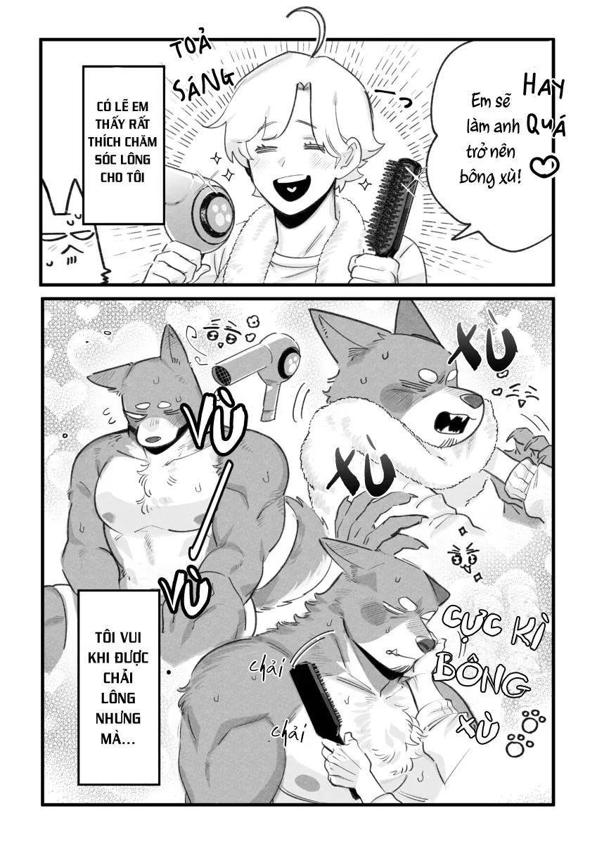 BẠN TRAI CỦA TÔI LÀ CHÓ Chapter 10 Trang 3