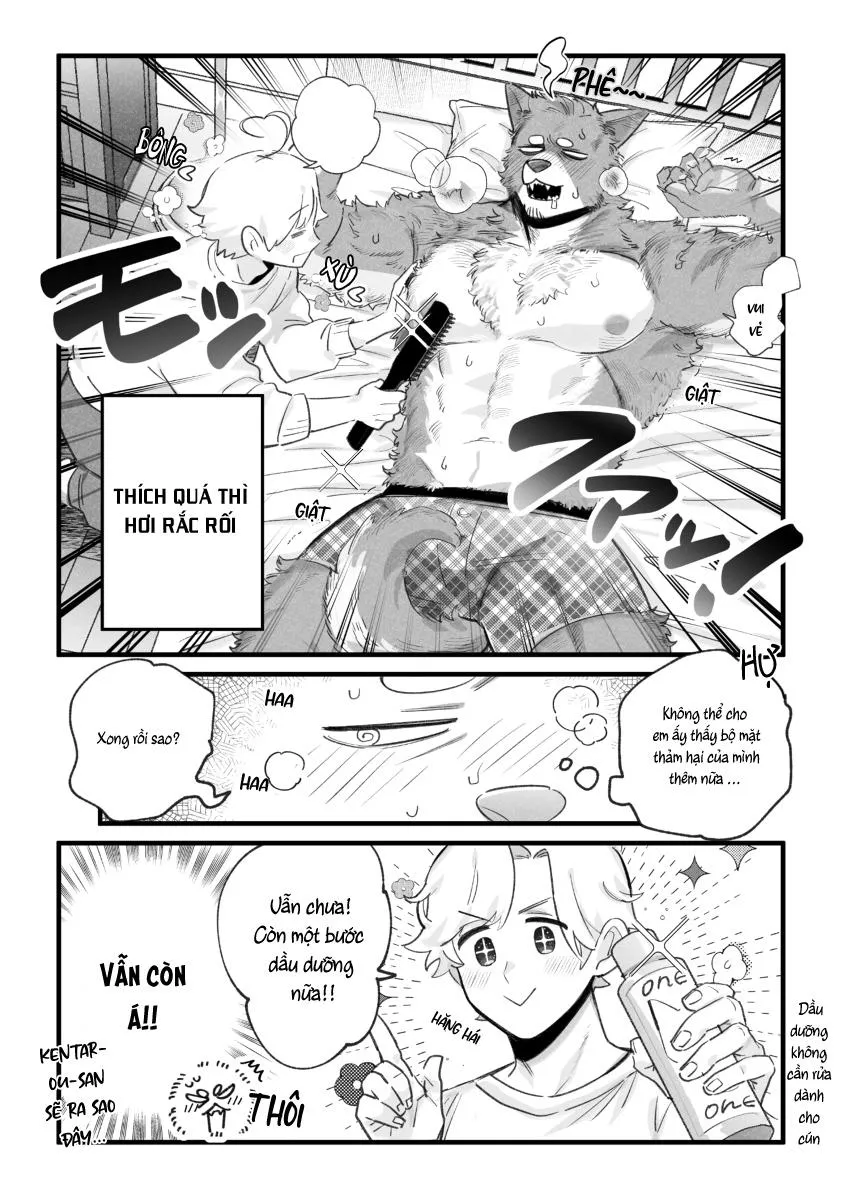 BẠN TRAI CỦA TÔI LÀ CHÓ Chapter 10 Trang 4