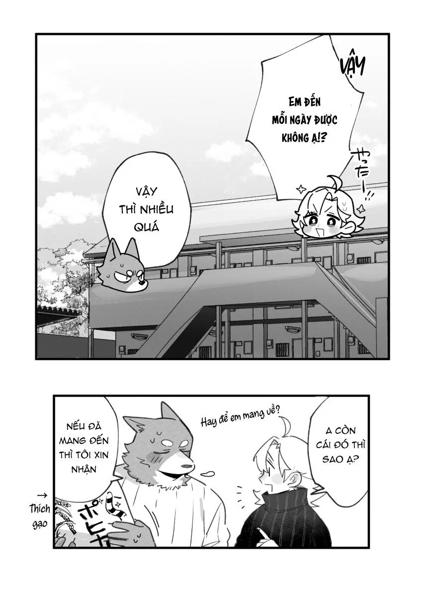 BẠN TRAI CỦA TÔI LÀ CHÓ Chapter 12 Trang 7